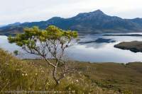 Bathurst Channel & Mt Rugby, Port Davey area, Tasmanian Wilderness World Heritage Area.