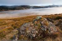 AUSTRALIA, Tasmania, Vale of Belvoir. Valley mist at sunrise, with moss & lichen-covered boulders on ridge overlooking Vale River valley.