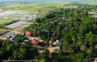 CAMBODIA, Siem Reap. Village & rice fields near Siem Reap, Aerial view from ultralight aircraft.