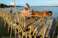 CAMBODIA, Kampong Cham. Horse & cart crossing bamboo bridge to Koh Paen island in Mekong River. Bridge is rebuilt by hand after every wet season.