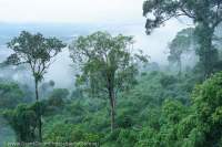 Areng valley, from Pepper-frog Hill, Koh Kong, Cambodia.