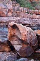 AUSTRALIA, Western Australia, West Kimberley. Water-sculpted sandstone boulder, Charnley River gorge.