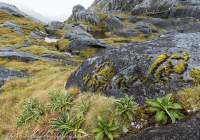 Museum Range, Fiordland. Museum Range to Kepler Mtns, NZ 2024