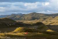 Lost World Plateau, Southwest National Park, Tasmanian Wilderness World Heritage Area