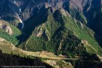 NEPAL, Dolpo. Fields and pine forested ridges in Maduwa Khola valley, near Phoksundo Lake.