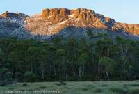 Dawn light on Massif Mtn, Cradle Mountain - Lake St Clair National Park, Tasmanian Wilderness World Heritage Area.
