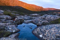 AUSTRALIA, Tasmania.Mt Field National Park. Tarn Shelf.