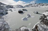 AUSTRALIA, Tasmania. Mt Field National Park. Winter snow and frozen alpine lakes on Tarn Shelf.