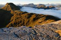 NEW ZEALAND, Fiordland National Park. Valley cloud & granite outcrop, Heath Mountains.