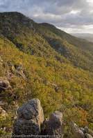AUSTRALIA, Queensland, Far North. Forested western escarpment of Mt Windsor Tableland, above Boggy Creek, sunset.