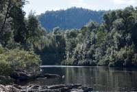 Diana's Basin, Franklin River, Franklin-Gordon Wild Rivers National Park, Tasmanian Wilderness World Heritage Area.