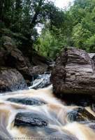 Gilgamesh Gorge, Jane River, Franklin-Gordon Wild Rivers National Park, Tasmanian Wilderness World Heritage Area.