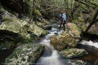 Porra Creek, Weld valley, Tasmanian Wilderness World Heritage Area.