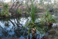 Koolpin Creek catchment, Kakadu National Park, Northern Territory