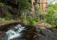Anbadgoran (Rainforest) Gorge, Kakadu National Park, Northern Territory