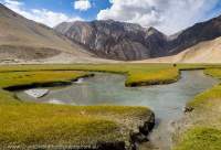 Grassy wetland on valley floor, en route to Pangong Tso (a giant high-altitude (4200m) lake) used for livestock grazing.
