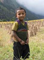 Boy in harvested field, Tsum Valley, Manaslu Circuit trek, Nepal