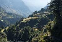 Agricultural terraces, Manaslu Circuit trek, Nepal