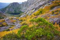 Autumn, Mt Murchison, western Tasmania.