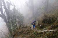 NEPAL. Porter in misty forest, Makalu Base Camp Trek, Makalu - Barun National Park.