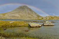 NORWAY, Troms, Lyngsalpan (Lyngen Alps). Rainbow over Lomvatnan lakes.