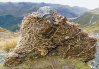 Veined ultramafic rock boulder, Livingstone Mountains, Southland, New Zealand.