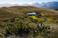 NEW ZEALAND 2014. Red Hills, Aspiring National Park, Te Wahipounamu World Heritage Area.