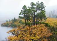 Lake Oenone, Mt Olympus, Cradle Mtn - Lk St Clair National Park, Tasmanian Wilderness World Heritage Area.