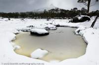 AUSTRALIA, Tasmania, Cradle Mtn - Lake St Clair National Park. Autumn snow in Pinestone Valley, Overland Track.