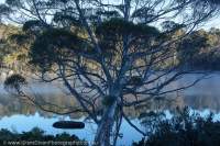 Lake Loretta, Lake Malbena area, Walls of Jerusalem National Park, Tasmanian Wilderness World Heritage Area
