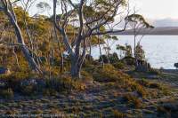 Lake Norman, Central Plateau, Tasmanian Wilderness World Heritage Area.