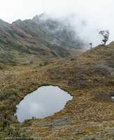 Tarn and glacial valley below Mt Scorpio, Star Mountains, Papua New Guinea.
