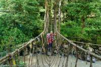 Rope bridge near Kavorabip, Star Mountains, Papua New Guinea.