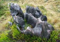 Limestone karst outcrops, Mt Capella, Star Mountains, Papua New Guinea.