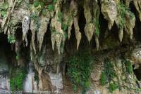 Stalactites at entrance to Clearwater Cave, one of four tourist caves in Mulu National Park, World Heritage Area, Sarawak.