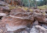 Palankintja Rockhole, Urrampinyi Iltjiltjarri Aboriginal land trust area, Northern Territory, Australia