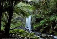 AUSTRALIA, Victoria. Hopetoun Falls, Great Otway National Park, Great Ocean Road.