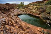 Waterhole, Watarrka National Park (Kings Canyon), Northern Territory, Australia