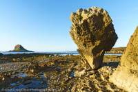 Hibbs Bay limestone karst, Spero-Wanderer area, western Tasmania