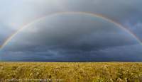 Rainbow, Florence Creek plateau, Spero-Wanderer region.