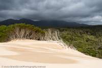 Dune & storm cloud, Mulcahy Bay, Southwest National Park, Tasmanian Wilderness World Heritage Area