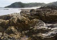 Folded rocks, Nye Bay, Southwest National Park, Tasmanian Wilderness World Heritage Area