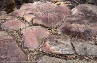 Riverbed sandstone outcrop, Edeowie Gorge, Wilpena Pound, Flinders Ranges National Park.