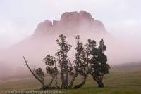 AUSTRALIA, Tasmania, Walls of Jerusalem National Park. Mist wafts through Damascus Gate at dawn, with the bluff of Solomons Throne rising above.