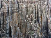 Dolerite columns, Cape Raoul, Tasman National Park, Tasmania, Australia