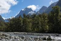 Castle Mount from Castle River valley, Fiordland. Worsley valley to Milford Sound, NZ 2024