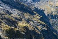 Head of Castle River valley, Fiordland. Worsley valley to Milford Sound, NZ 2024